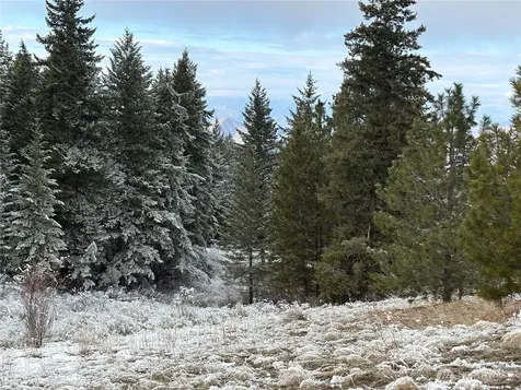 0 Redfield Road Waterville WA 98858