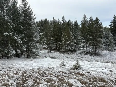 0 Redfield Road Waterville WA 98858