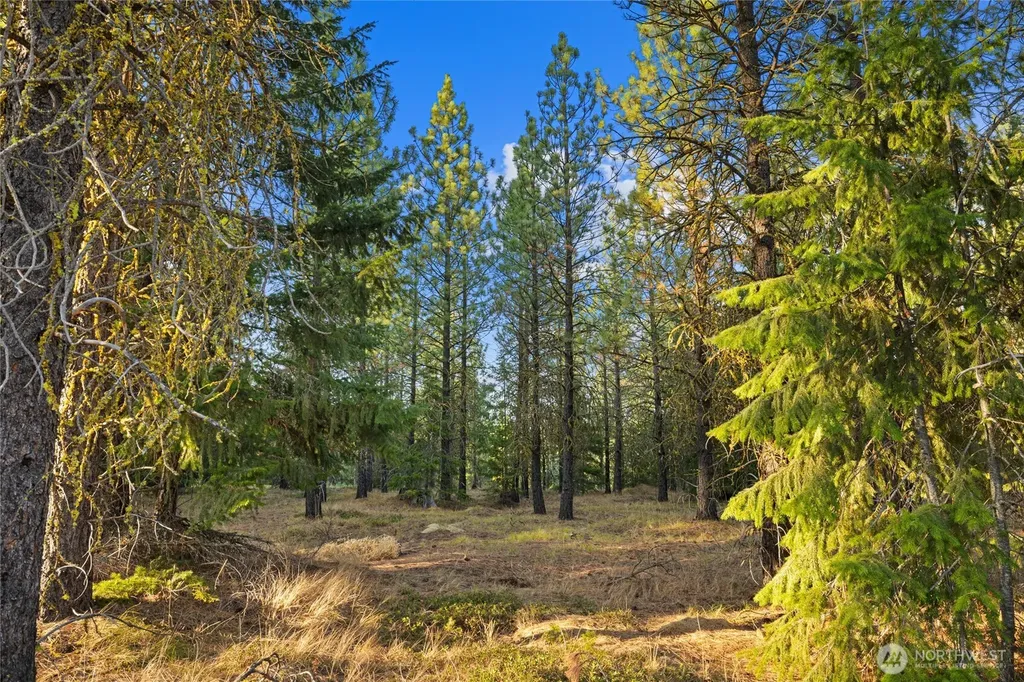 131 Gold Leaf Lane Cle Elum WA 98922