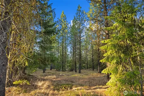 131 Gold Leaf Lane Cle Elum WA 98922