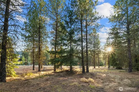 131 Gold Leaf Lane Cle Elum WA 98922