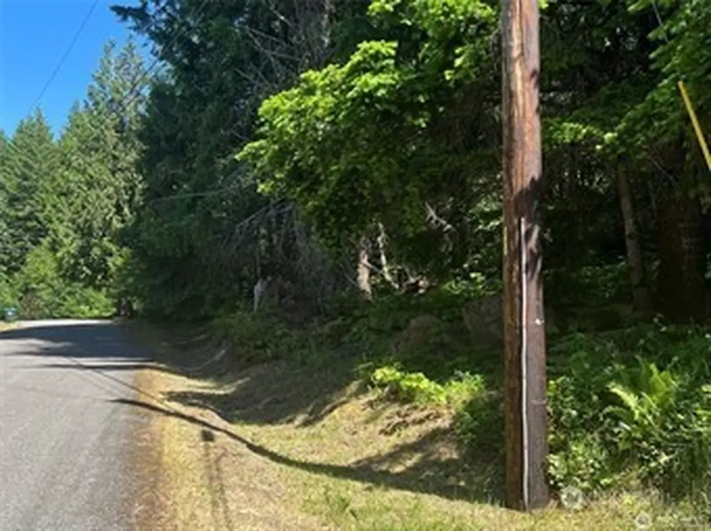103 Ridge Lane Packwood WA 98361