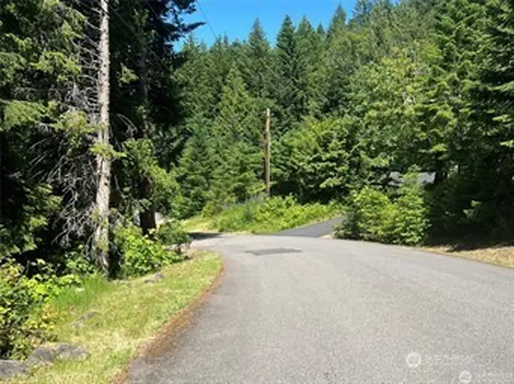 103 Ridge Lane Packwood WA 98361