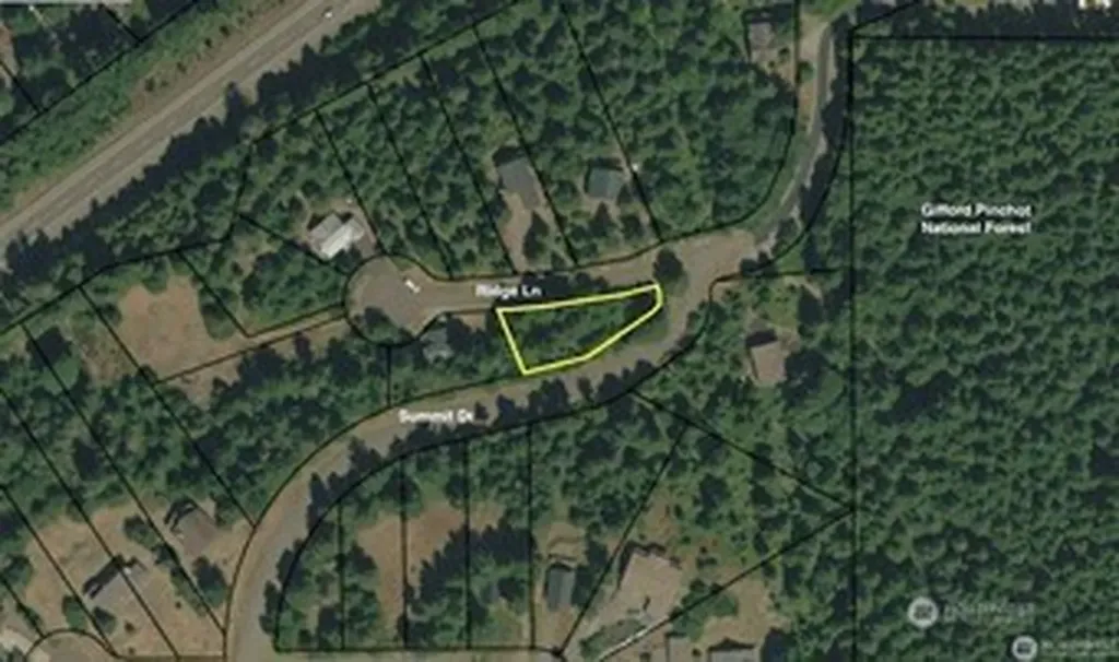 103 Ridge Lane Packwood WA 98361