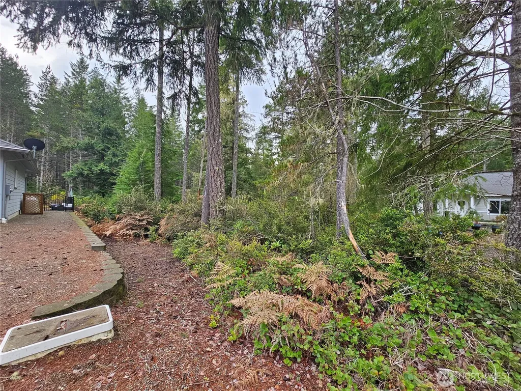 231 E Blackberry Lane Union WA 98592