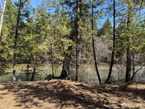 38 Mazama Pines Lane Mazama WA 98833