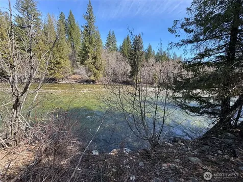 38 Mazama Pines Lane Mazama WA 98833