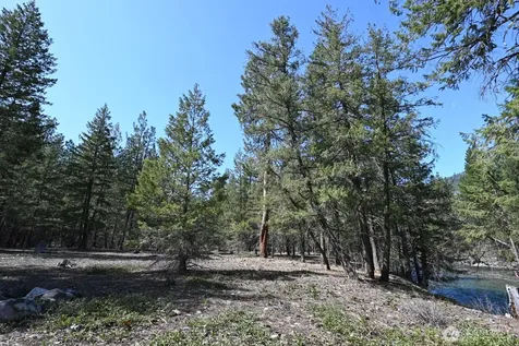 38 Mazama Pines Lane Mazama WA 98833