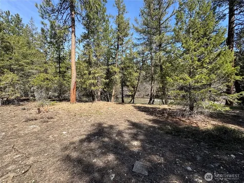 38 Mazama Pines Lane Mazama WA 98833