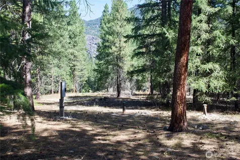 38 Mazama Pines Lane Mazama WA 98833