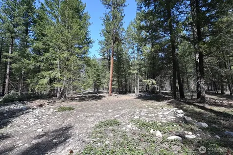 38 Mazama Pines Lane Mazama WA 98833