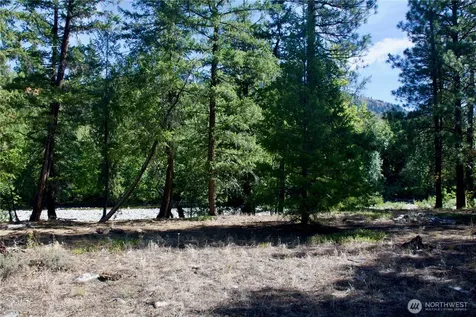 38 Mazama Pines Lane Mazama WA 98833