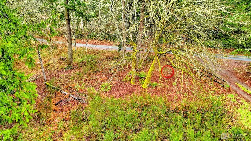 18813 74th Street SW Longbranch WA 98351