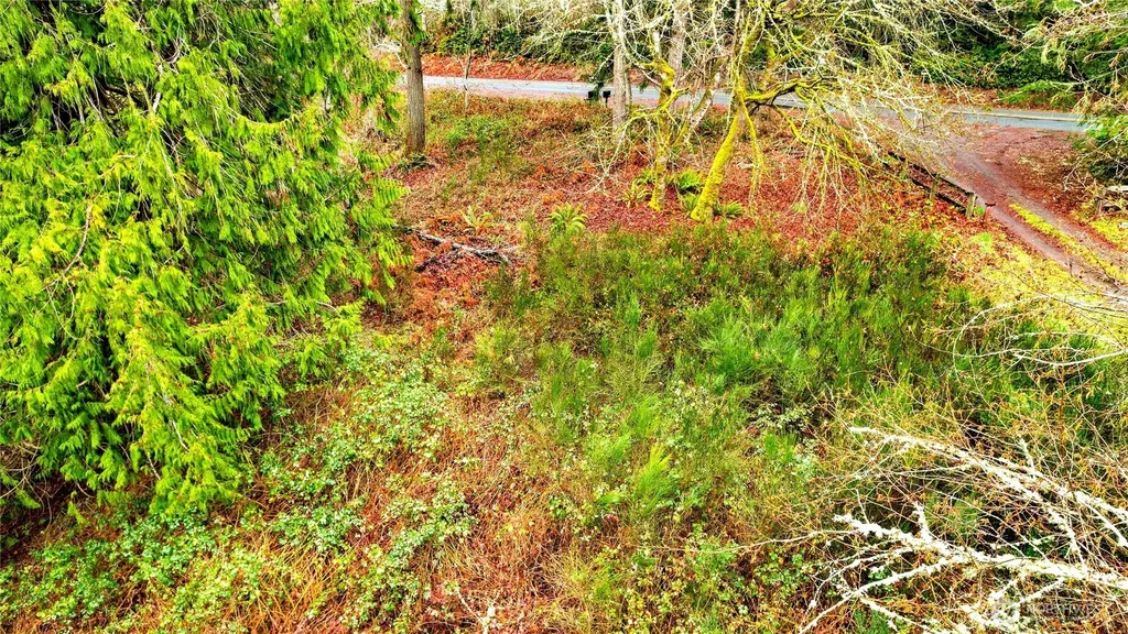 18813 74th Street SW Longbranch WA 98351