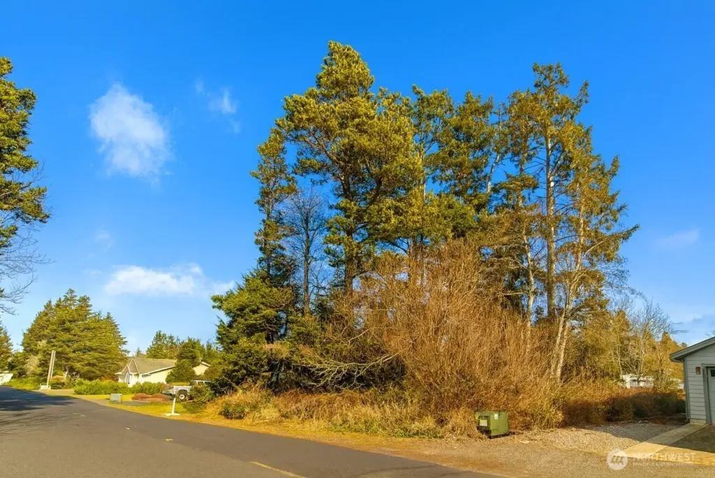 30904 M Place Ocean Park WA 98640