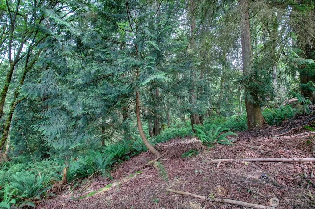 107 Pueblo Heights Mount Vernon WA 98273