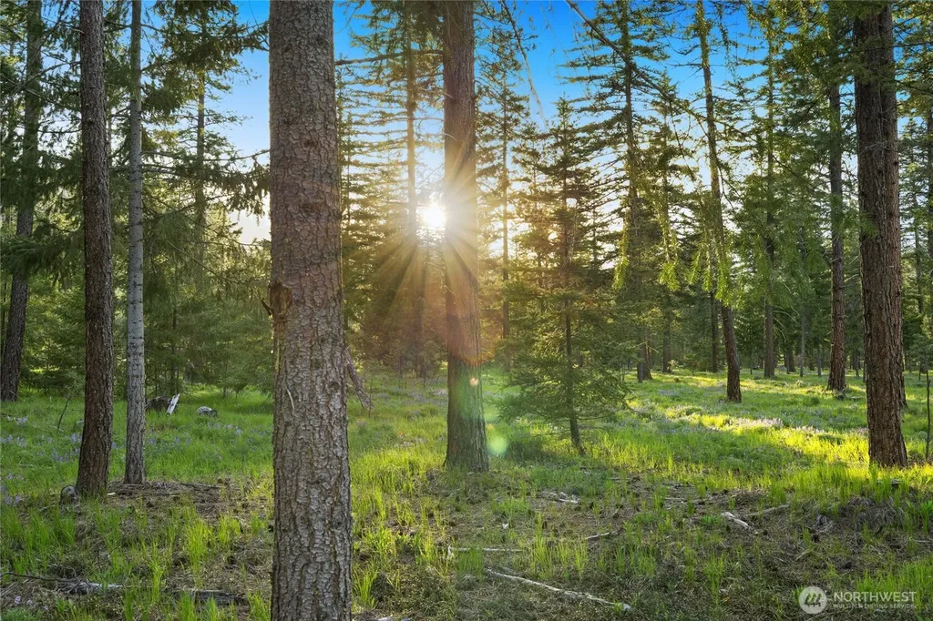 1001 Domerie Park Loop Cle Elum WA 98922