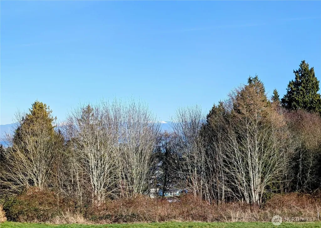 19 Whalen Drive Point Roberts WA 98281