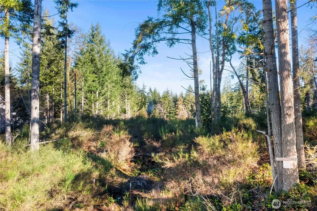 0 E Harstine Island Road S Shelton WA 98584