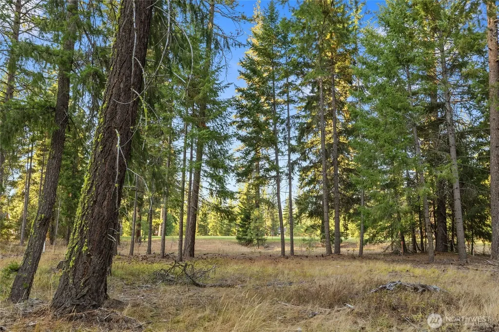 32 Domerie Park Loop Cle Elum WA 98922