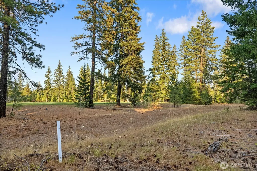 32 Domerie Park Loop Cle Elum WA 98922