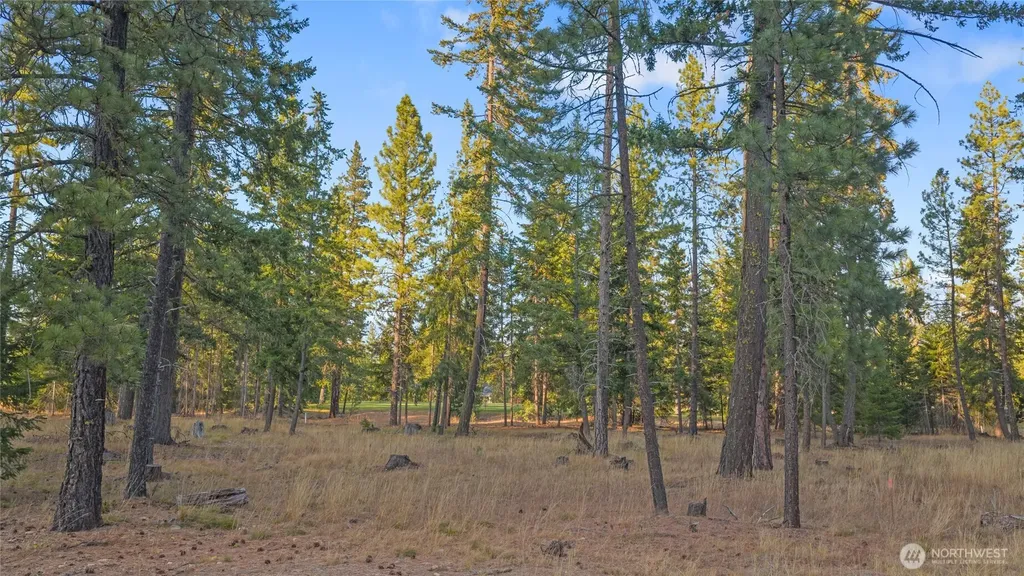 32 Domerie Park Loop Cle Elum WA 98922