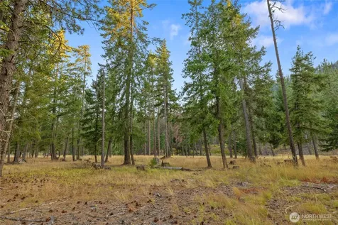 32 Domerie Park Loop Cle Elum WA 98922