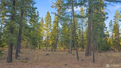 32 Domerie Park Loop Cle Elum WA 98922