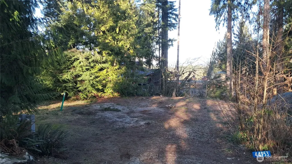 44953 Blacktail Loop Concrete WA 98237