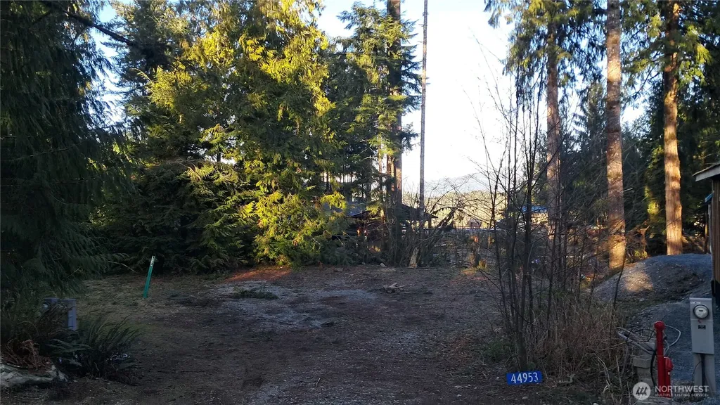 44953 Blacktail Loop Concrete WA 98237