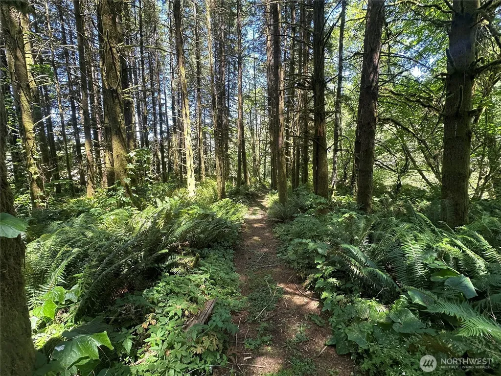 1895 North Fork Road Chehalis WA 98532