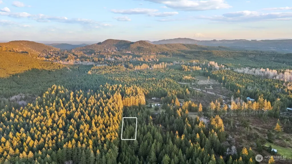 0 W Lost Lake Road Shelton WA 98584