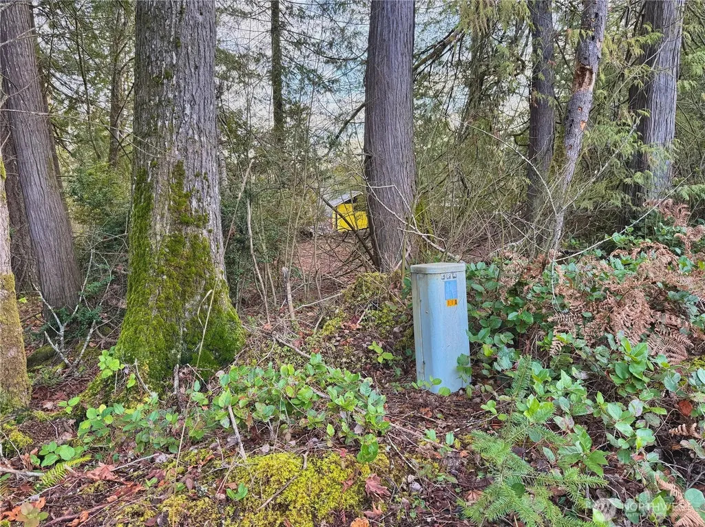 680 E State Route 302 Belfair WA 98528