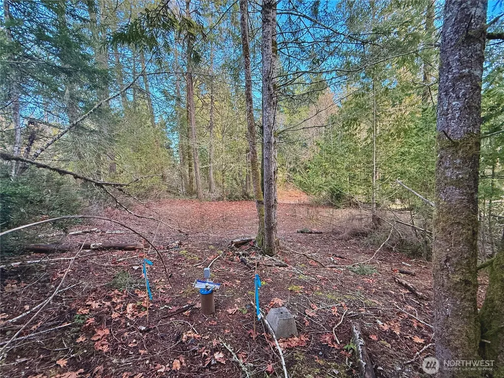 680 E State Route 302 Belfair WA 98528