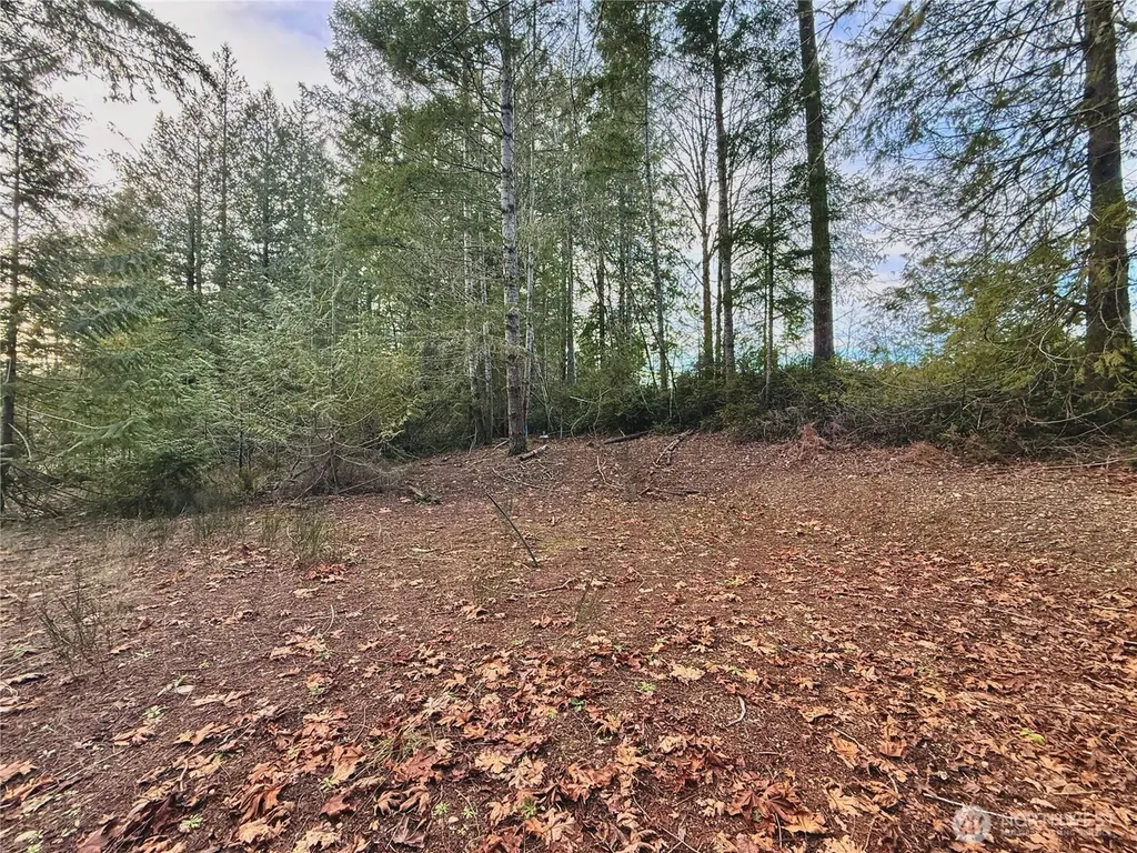 680 E State Route 302 Belfair WA 98528