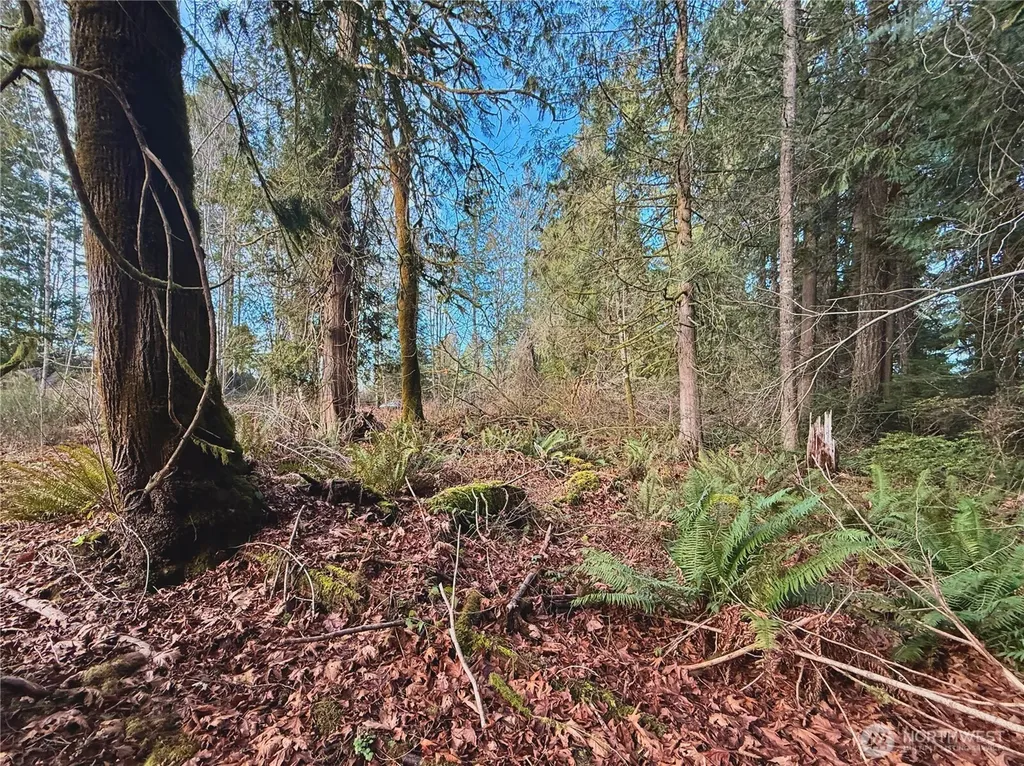680 E State Route 302 Belfair WA 98528