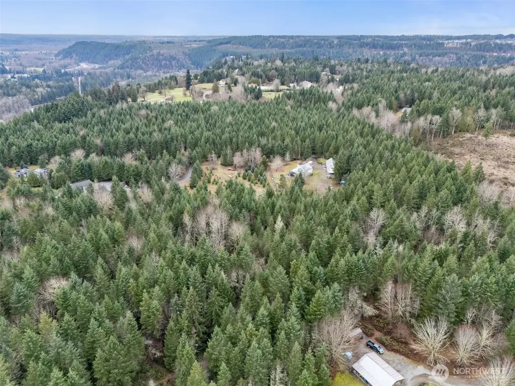 17011 226th Avenue E Orting WA 98360