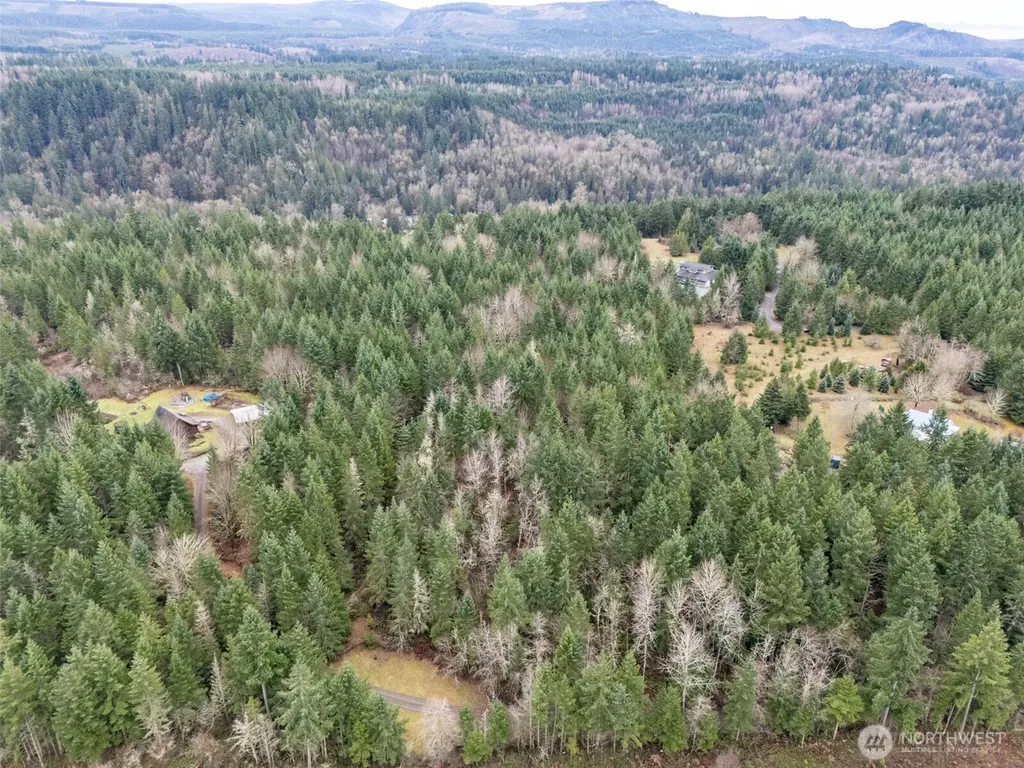 17011 226th Avenue E Orting WA 98360