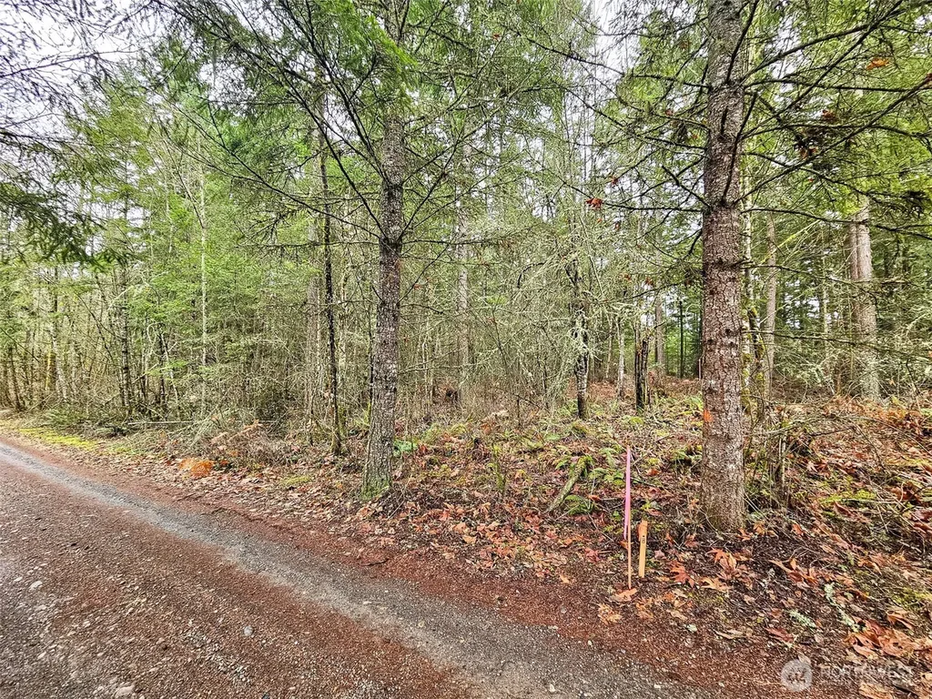 17011 226th Avenue E Orting WA 98360