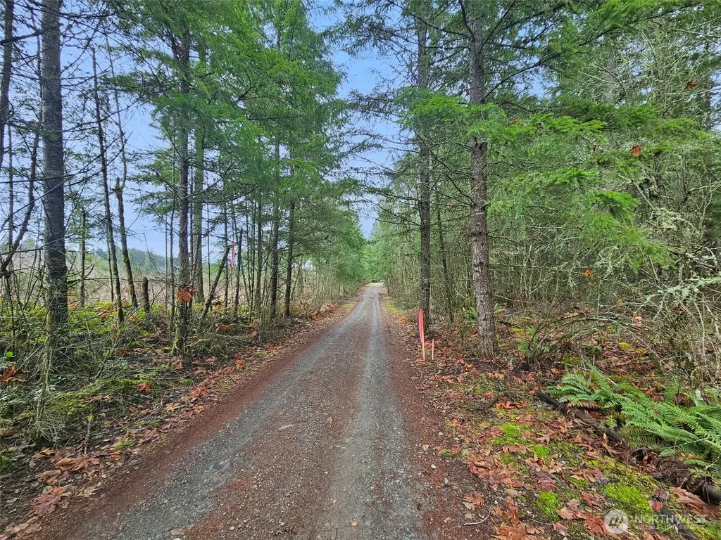 17011 226th Avenue E Orting WA 98360