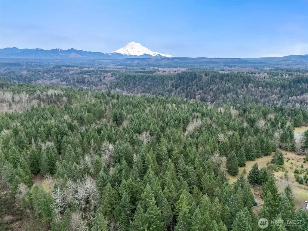 17011 226th Avenue E Orting WA 98360