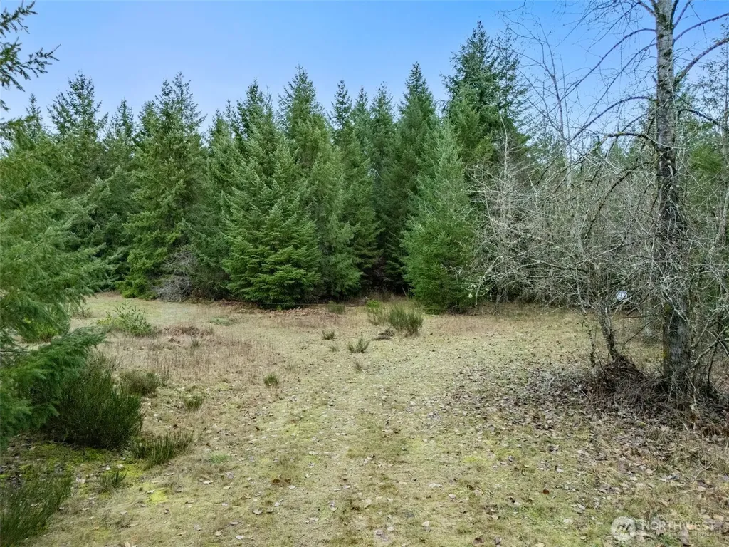 17011 226th Avenue E Orting WA 98360