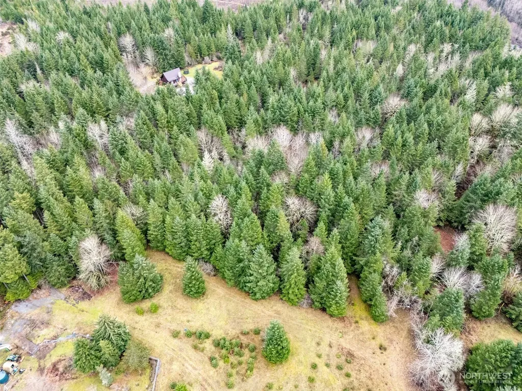 17011 226th Avenue E Orting WA 98360