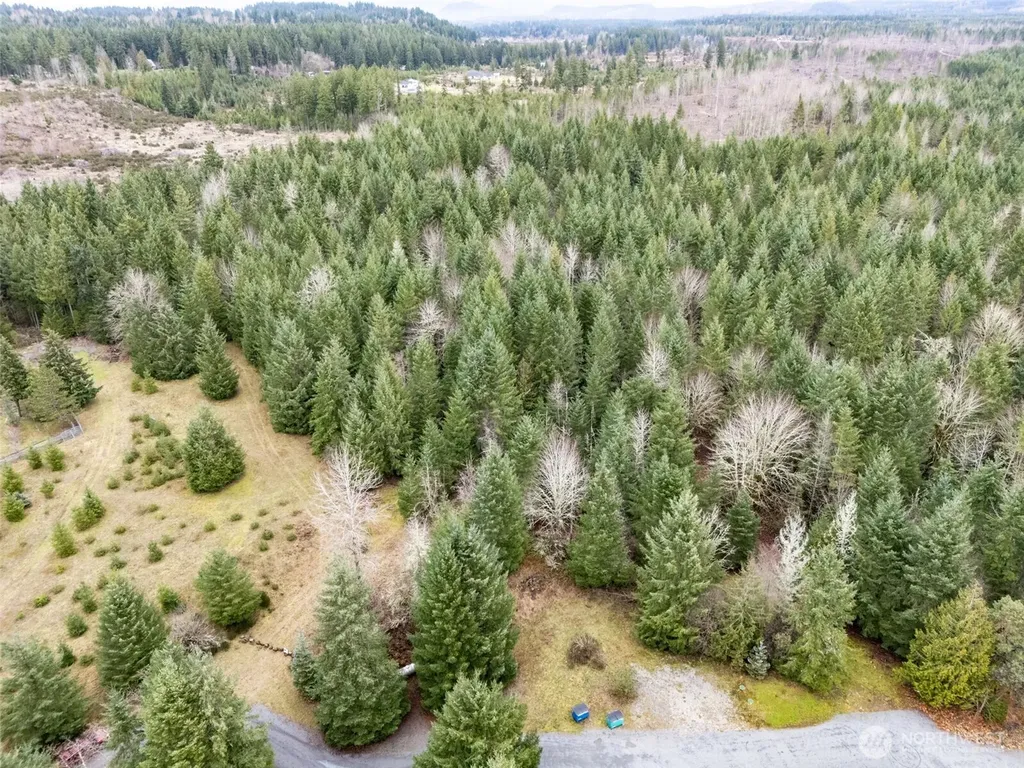 17011 226th Avenue E Orting WA 98360
