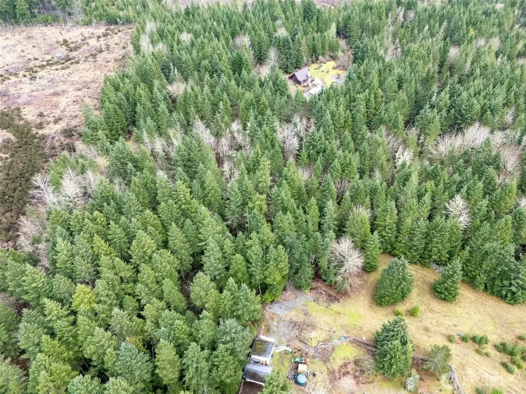 17011 226th Avenue E Orting WA 98360