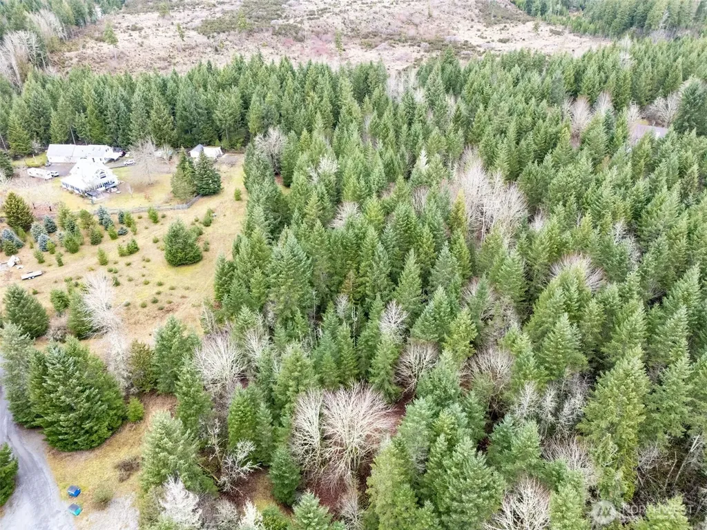 17011 226th Avenue E Orting WA 98360