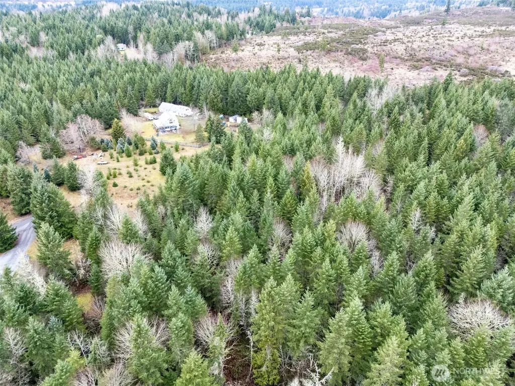 17011 226th Avenue E Orting WA 98360