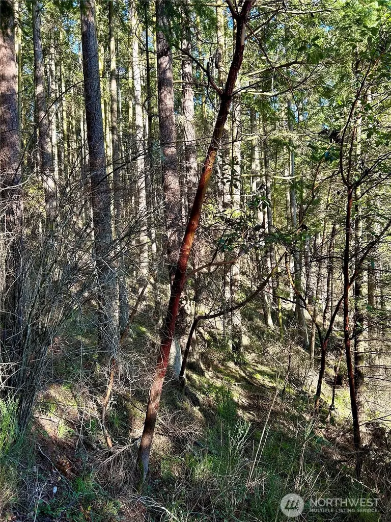 55 Vancouver Place Port Townsend WA 98368