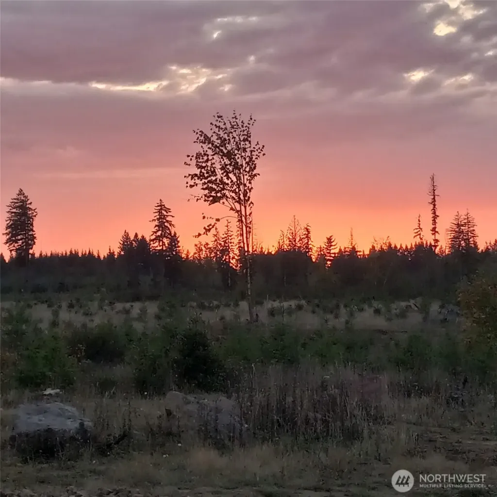 0 Macomber Road W Chehalis WA 98532