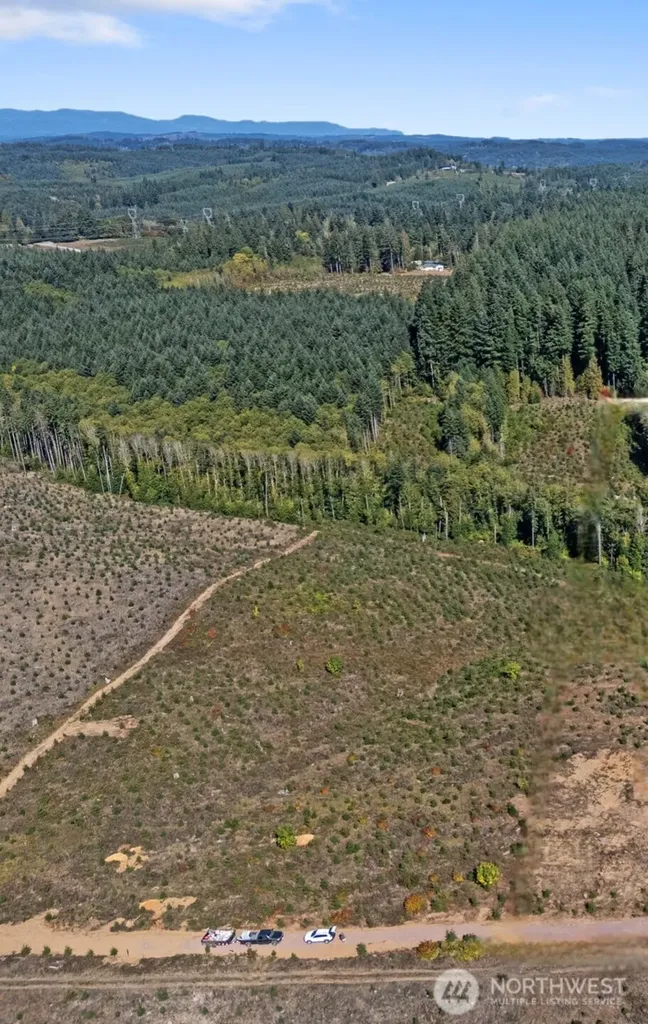 0 Macomber Road W Chehalis WA 98532